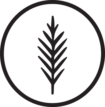 Flower or leaf logo in a minimalist style for decoration png