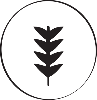 Flower or leaf logo in a minimalist style for decoration png