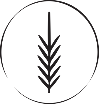 Flower or leaf logo in a minimalist style for decoration png