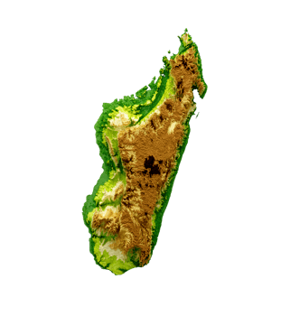 Madagascar Map Shaded relief Color Height map 3d illustration png