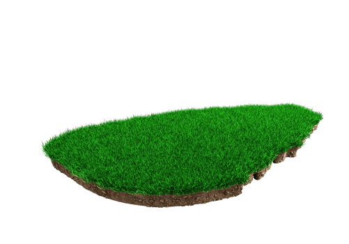 Sri Lanka Map Grass and ground Ceylon Map texture 3d illustration png