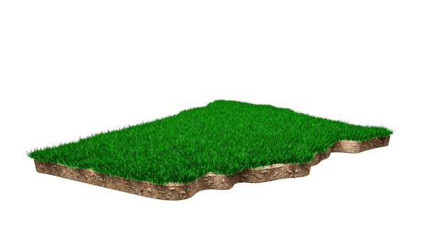 New South Wales Map soil land geology cross section with green grass and Rock ground texture 3d illustration png