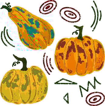 pumpkins and other fall decorations vector