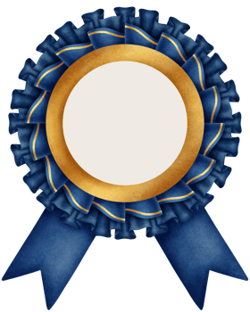 Award frame fabric and ribbon png