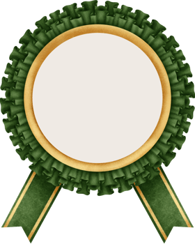Award frame fabric and ribbon png