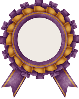 Award frame fabric and ribbon png