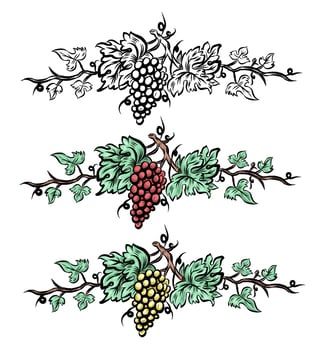 Grape vine set elements . Vintage hand drawn wine decorations border, floral grapes . vector illustration