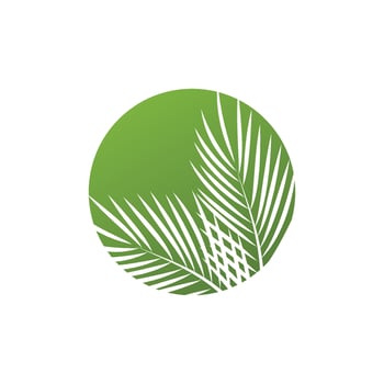 Leaf palm logo vector template symbol and design