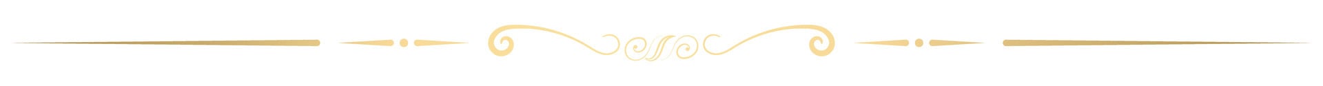 vintage lines decorative s Golden flower border collection vector