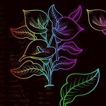 Rainbow color line art floral vector illustration, colorful vintage decorative vector template, rainbow color flower ornaments.