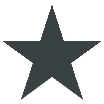 Star icon vector on a white background.