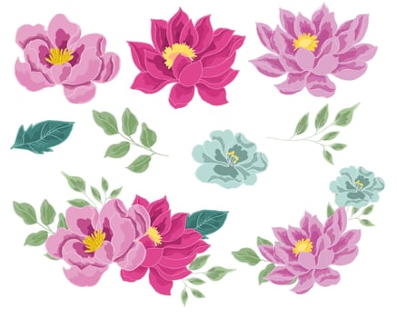 Hand Drawn Lotus Flower Illustration vector