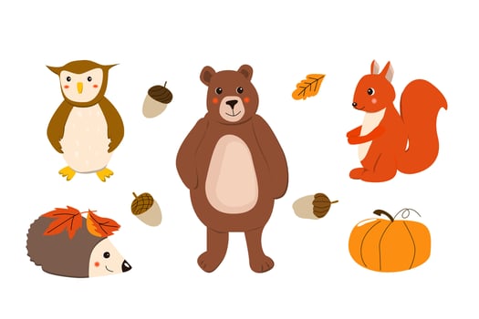 cute cartoon animals set of bear, owl, squirell vector