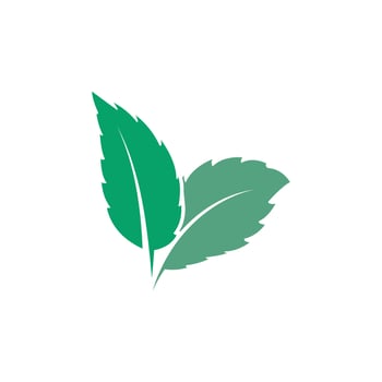 Natural leaf mint logo vector template symbol design