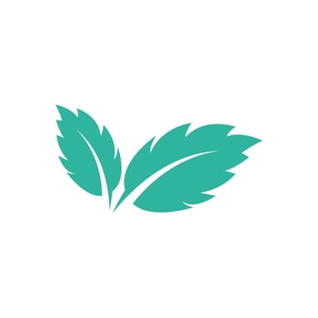 Natural leaf mint logo vector template symbol design
