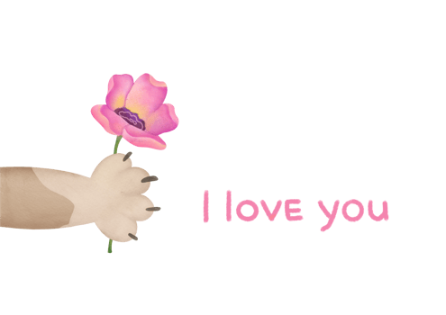 layout for Valentine's Day card on February 14th with inscription I love you. watercolor greeting card with frame on transparent background. cat's paw holds out flower. romantic relationship, Love png