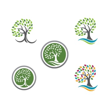 Logos of green Tree leaf ecology vector