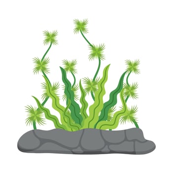 Flat illustration of sea coral reef vector