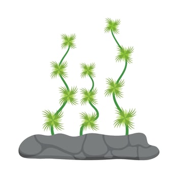 Flat illustration of sea coral reef vector