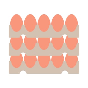 Poultry eggs flat illustration vector
