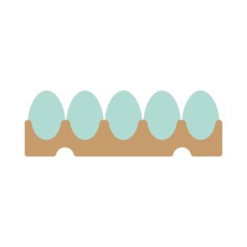 Poultry eggs flat illustration vector