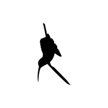 Flying Hummingbird Silhouette, can use Art Illustration, Website, Logo Gram, Pictogram or Graphic Design Element. Vector Illustration