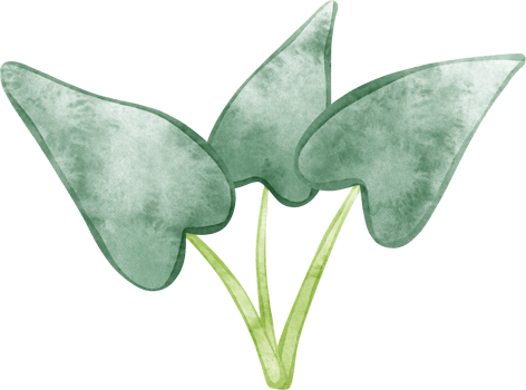 watercolor decorative tree green illustration png