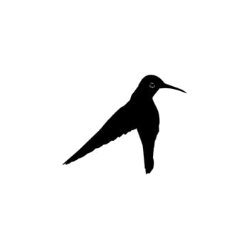 Flying Hummingbird Silhouette, can use Art Illustration, Website, Logo Gram, Pictogram or Graphic Design Element. Vector Illustration