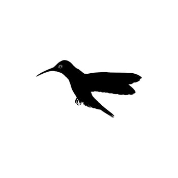 Flying Hummingbird Silhouette, can use Art Illustration, Website, Logo Gram, Pictogram or Graphic Design Element. Vector Illustration