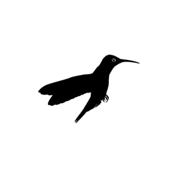 Flying Hummingbird Silhouette, can use Art Illustration, Website, Logo Gram, Pictogram or Graphic Design Element. Vector Illustration