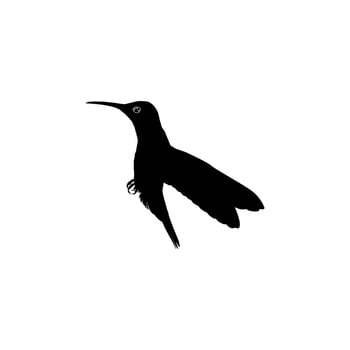 Flying Hummingbird Silhouette, can use Art Illustration, Website, Logo Gram, Pictogram or Graphic Design Element. Vector Illustration