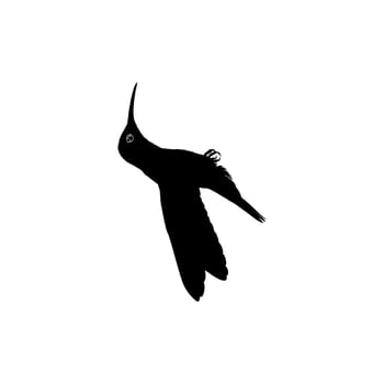 Flying Hummingbird Silhouette, can use Art Illustration, Website, Logo Gram, Pictogram or Graphic Design Element. Vector Illustration