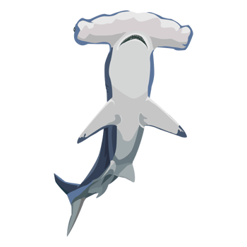 wild shark image png