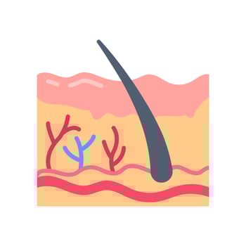 Skin icon in vector. Logotype vector