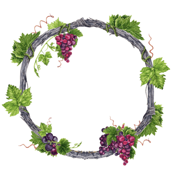 Wreath with green grape leaves and tendrils on grape vine branch. Watercolor illustration isolated on transparent background. Hand drawn design element. Round frame for cards, invitations. png