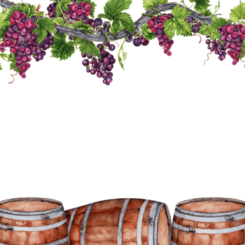 Border frame with bunches of grapes on vine and wine barrels. Watercolor illustration isolated on transparent background. Card design png