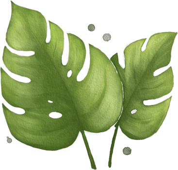 Monstera leaf watercolor green png