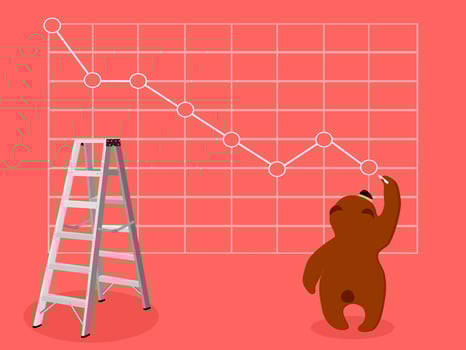 bear adjusted the graph vector