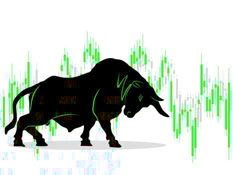 Bull adjusted the graph vector