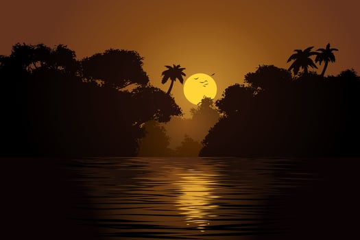 Sunset over river with forest silhouette vector