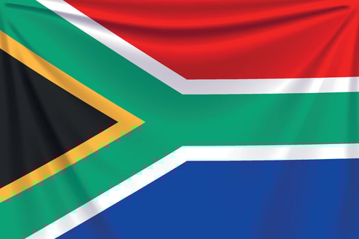 back flag south africa vector