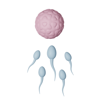 Reproduction 3D Icon Illustration png