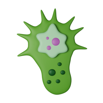 Microbe 3D Icon Illustration png