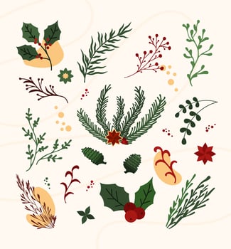 Hand draw Christmas plant ornaments leaf, flower, branches set. Doodle holly floral, branch elements vector