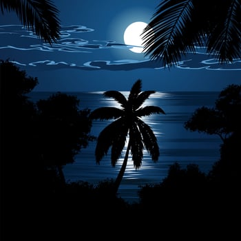 Night sea landscape with full moon vector