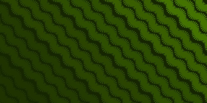 wavy lines, abstract green grass wave pattern texture on striped background, wallpaper, carpet or lawn top view, wavy green lines, natural organic products, vector illustration