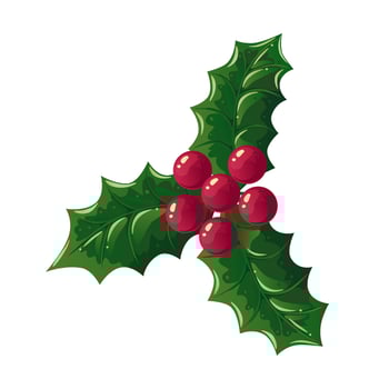 Holly berries branch of red Christmas berries with leaves. Vector illustration isolated on white background. Decorative detailed element for holiday patterns, wreathes, frames, packaging, designs