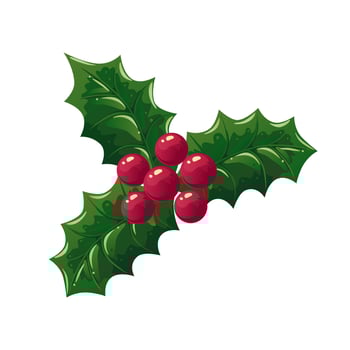 Holly berries branch of red Christmas berries with leaves. Vector illustration isolated on white background. Decorative detailed element for holiday patterns, wreathes, frames, packaging, designs