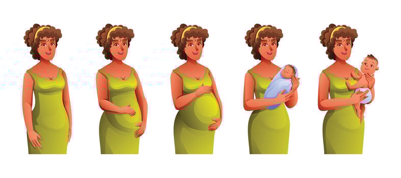 Pregnancy stages. Changes in female body during pregnancy. Pregnant woman and newborn baby. Vector illustration