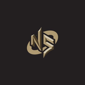 NS initials concept logo professional design esport gaming vector